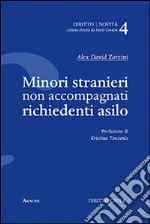 Zorzini Alex David