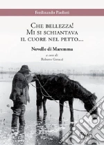 Paolieri Ferdinando; Goracci R. (cur.)