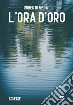 Meda Roberto