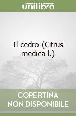 Fersini Antonio; Giorlando A.; Tuoto G.