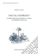 Casini Simone