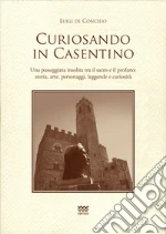 De Concilio Luigi