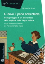 De Amicis Edmondo; Zanetello S. (cur.)