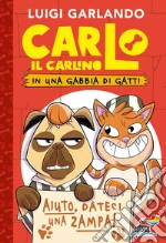 Garlando Luigi