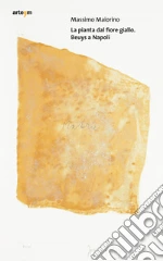 Maiorino Massimo