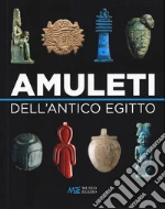 Connor Simon; Facchetti Federica; Museo egizio di Torino (cur.)