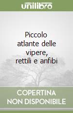 Abram Sergio; Scudelotti C. (cur.)