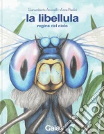 Accinelli Gianumberto