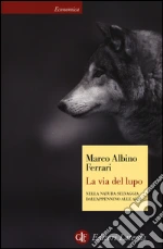 Ferrari Marco Albino