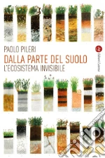 Pileri Paolo