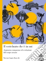 Caputo Barucchi Vincenzo