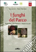 Gorreri Luca; Marchetti Mauro
