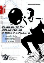 Alberti Giampiero; Garufi Maurizio; Silvaggi Nicola