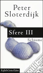 Sloterdijk Peter; Bonaiuti G. (cur.)