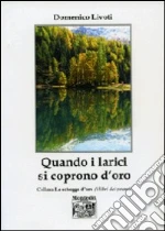 Livoti Domenico
