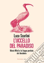 Scarlini Luca