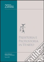 Leonardi Giovanni; Tin Vincenzo