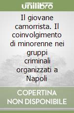 Caccavale Fabrizio; Bandini T. (cur.)