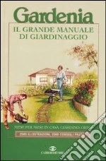 Marinoni C. M. (cur.)