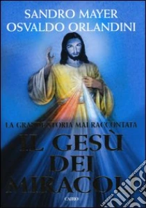 Il Gesù dei miracoli libro di Mayer Sandro - Orlandini Osvaldo