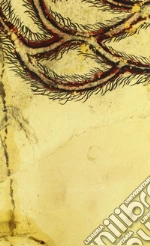 Pellegrini Simone; Giovanardi A. (cur.); Baboni F. (cur.)