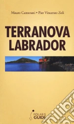 Camorani Mauro; Zoli Pier Vincenzo