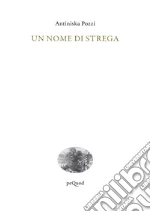 Pozzi Antiniska
