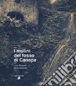 Morganti Luca; Semprini Mirco