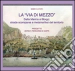 Oliviero Mimmo