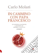 Molari Carlo; Nicastro F. (cur.)