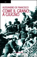 De Francesco Alessandro