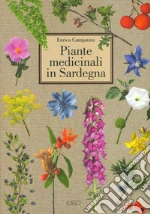 Campanini Enrica