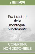Ruiu Domenico