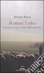 Aime Marco