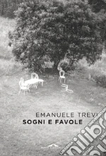 Trevi Emanuele