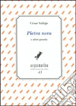 Vallejo Csar; Mattei P. (cur.)