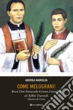 Maniglia Andrea