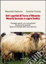 Vadacca Marcello; Trenta Cesario