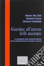 Abu Zeid Nasser; Cocco Giovanni; Santarato Giovanni