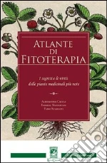 Caccia Alessandra; Napolitani Fabrizio; Scarlato Fabio