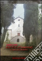 Cimini Alberto; Cecchini C. A. (cur.)