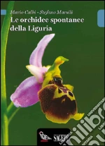 Calbi Mario; Marsili Stefano