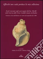 De Pascale A. (cur.); Maggi R. (cur.)