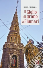 Di Paola Michele