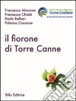 Minonne Francesco; Chial Francesco; Belloni Paolo