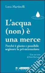 Martinelli Luca