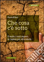 Pileri Paolo; Biondillo Gianni
