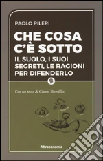 Pileri Paolo; Biondillo Gianni