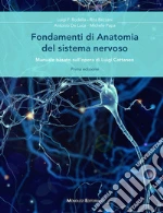Rezzani Rita; De Luca Antonio; Papa Michele