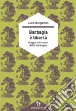 Bergamin Luca